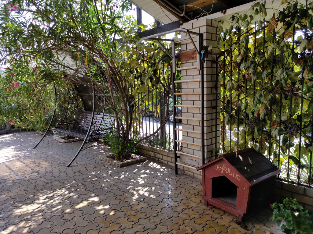 Фото Ласточкино Гнездо