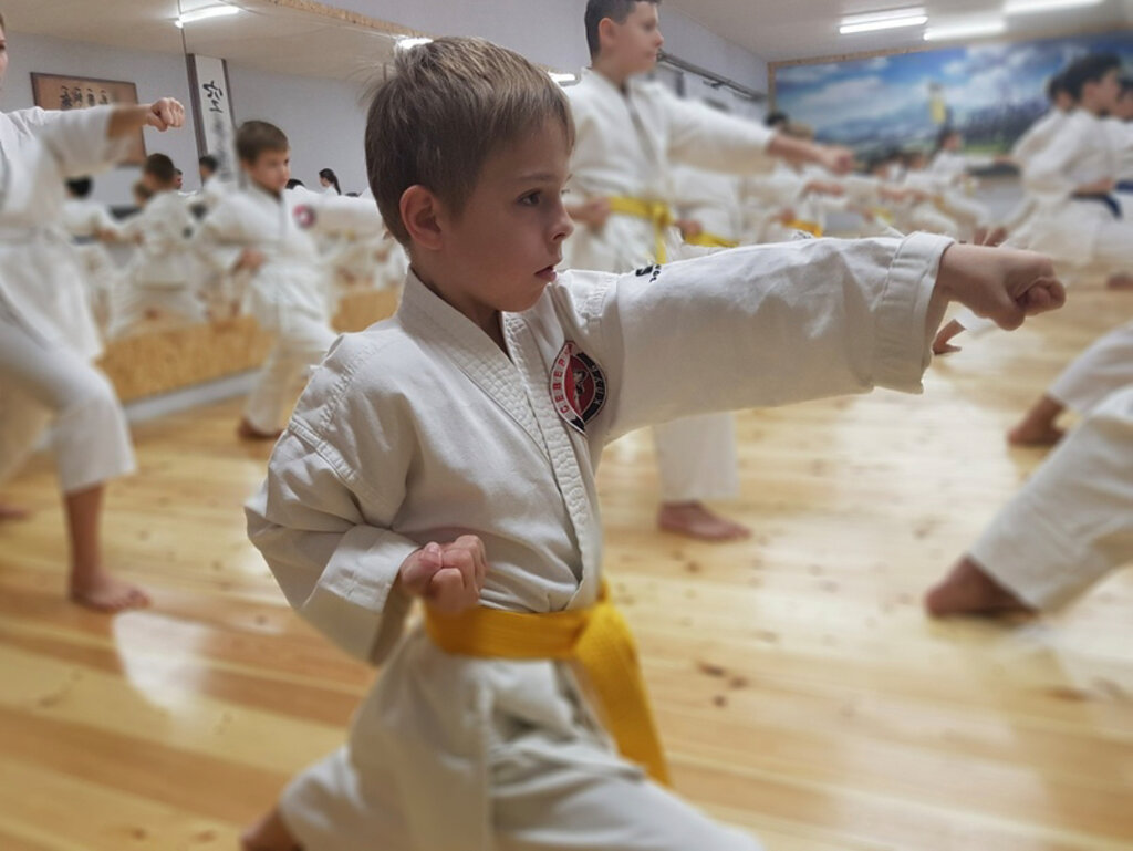 Sports club Спортивный клуб каратэ Северный, филиал № 3 СК каратэ Раменки, Voronezh, photo