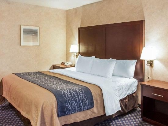 Фото Comfort Inn & Suites Sea-Tac Airport