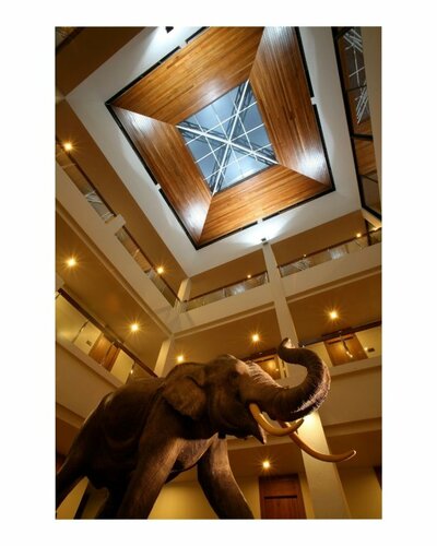 Гостиница Baan Saikao Plaza Hotel & Service Apartment в Ко Чанге