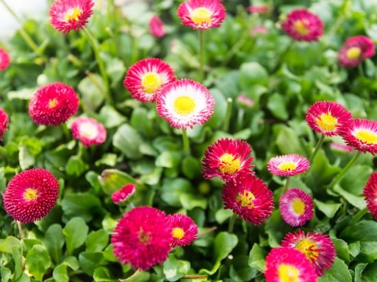 Фото Jinjiang Inn Suzhou New District Tayuan Road