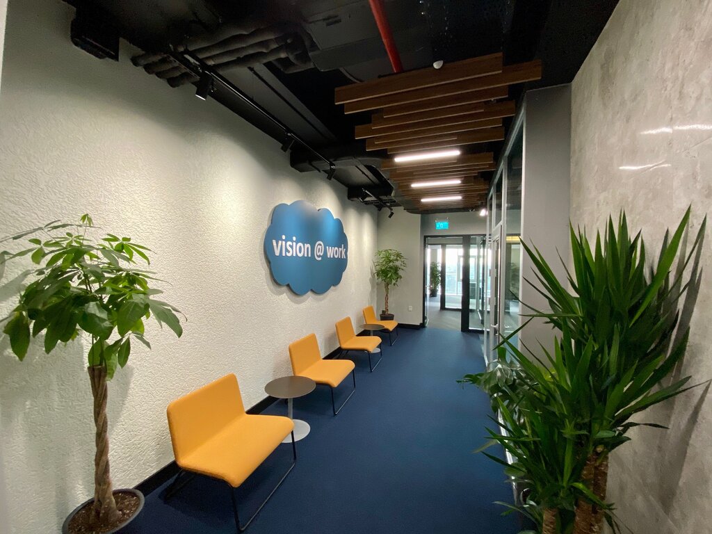 Software companies Cybersoft, Istanbul, photo