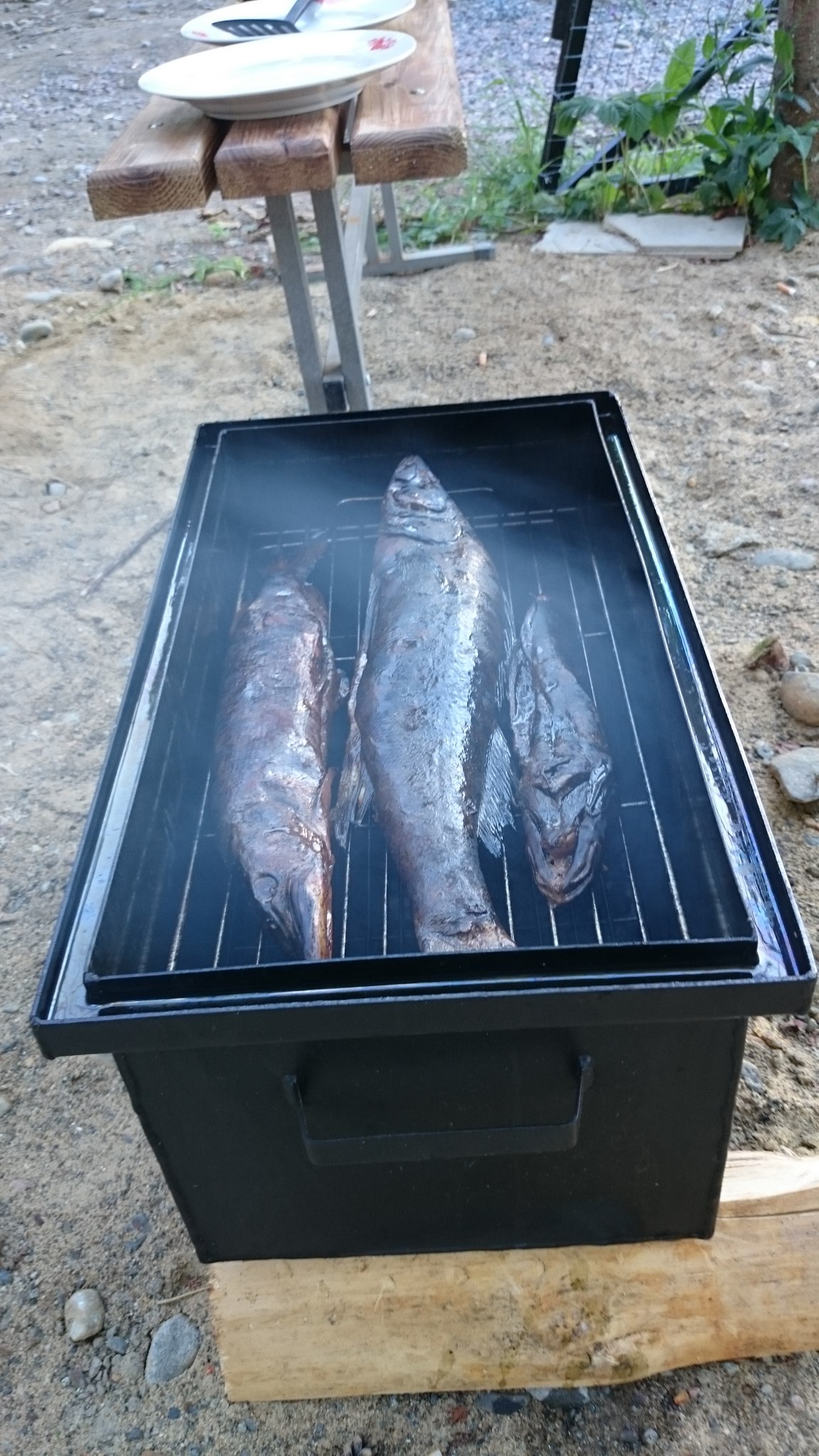 Фото Коттедж Берег у леса