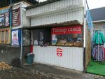 Tandoor samsa (Pushkin Street, 33), comida rápida