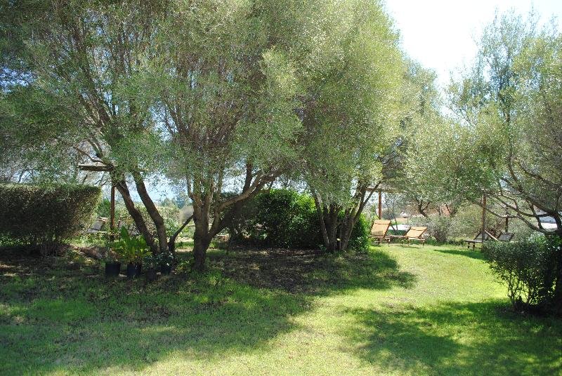 Фото Hotel Speraesole