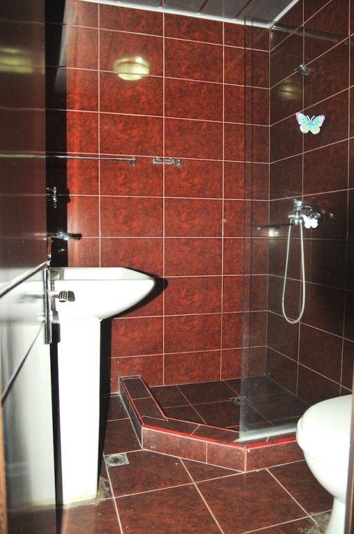 Фото ბორჯომი სასტუმრო ალმა-ატა