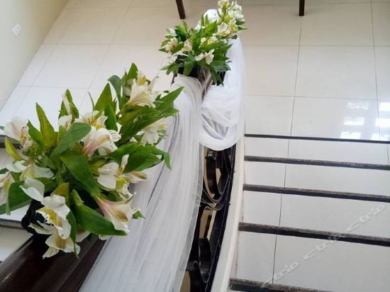 Фото Hotel Venezia