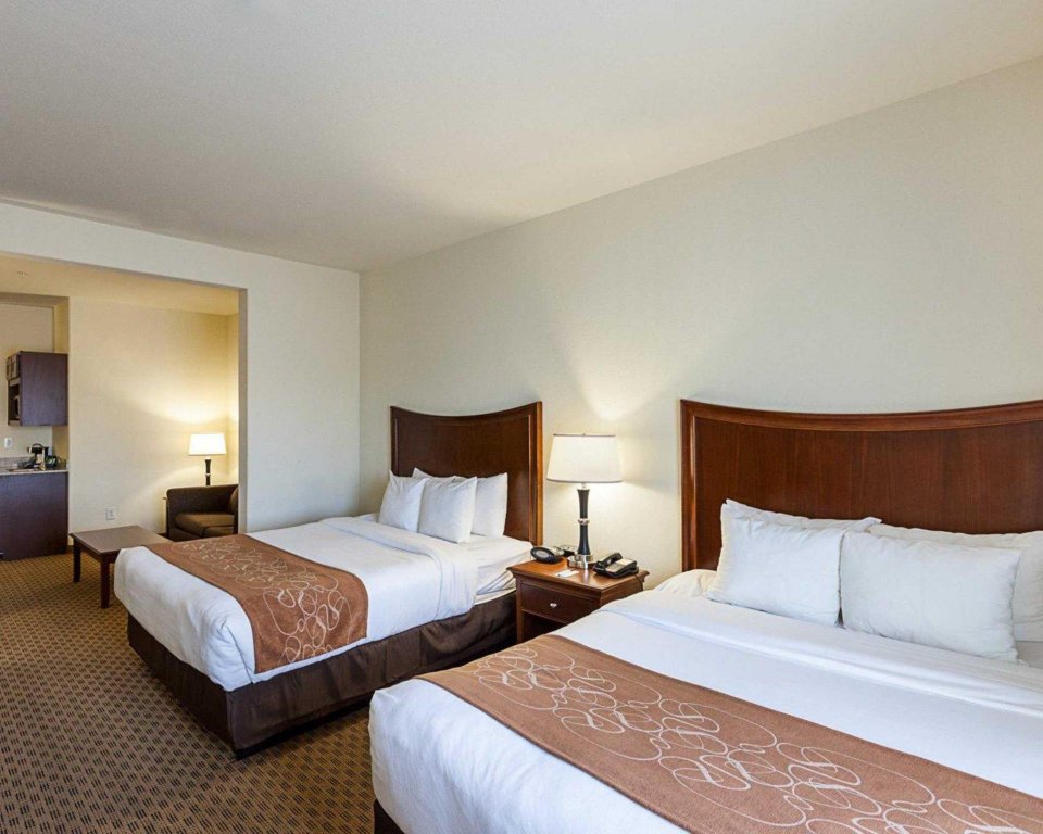 Фото Comfort Suites San Antonio North - Stone Oak