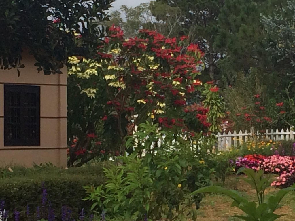 Фото Dalat Train Villa