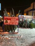 Elki Shop (selo Bratovshchina, 1-ya Stantsionnaya ulitsa, 60А), árboles de navidad y adornos navideños