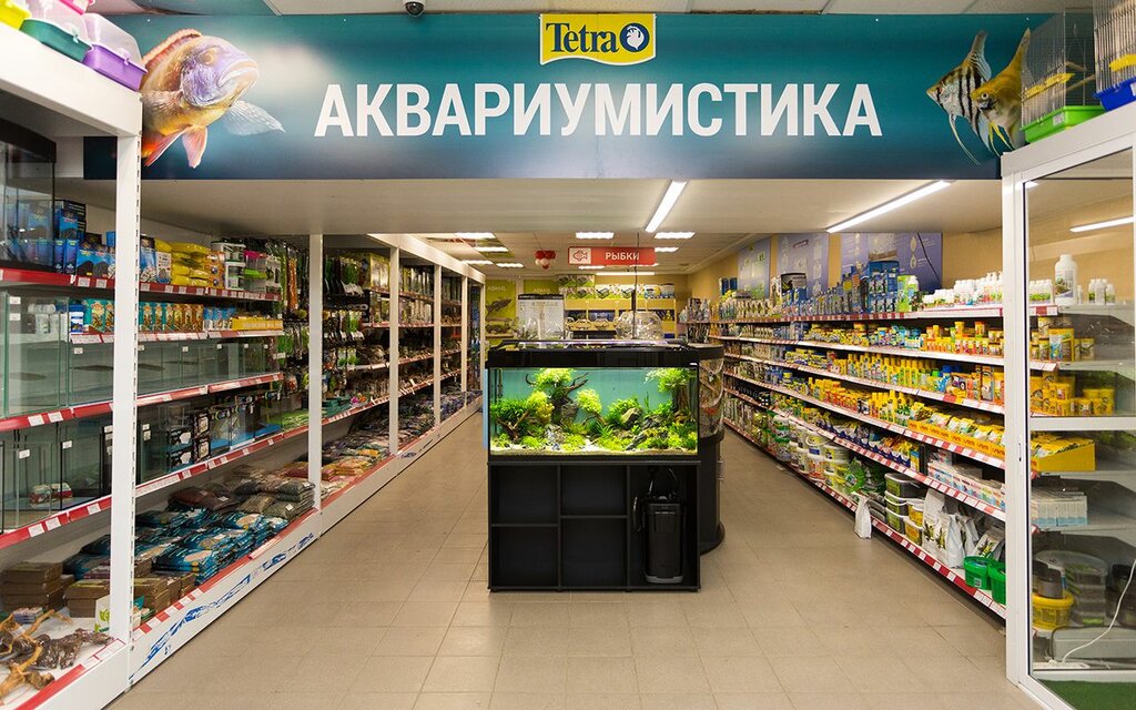 Белый Кролик Интернет Магазин Красноярск Зоомагазин