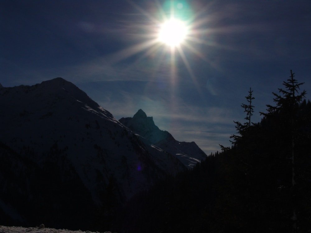 Фото Schindler Hotel