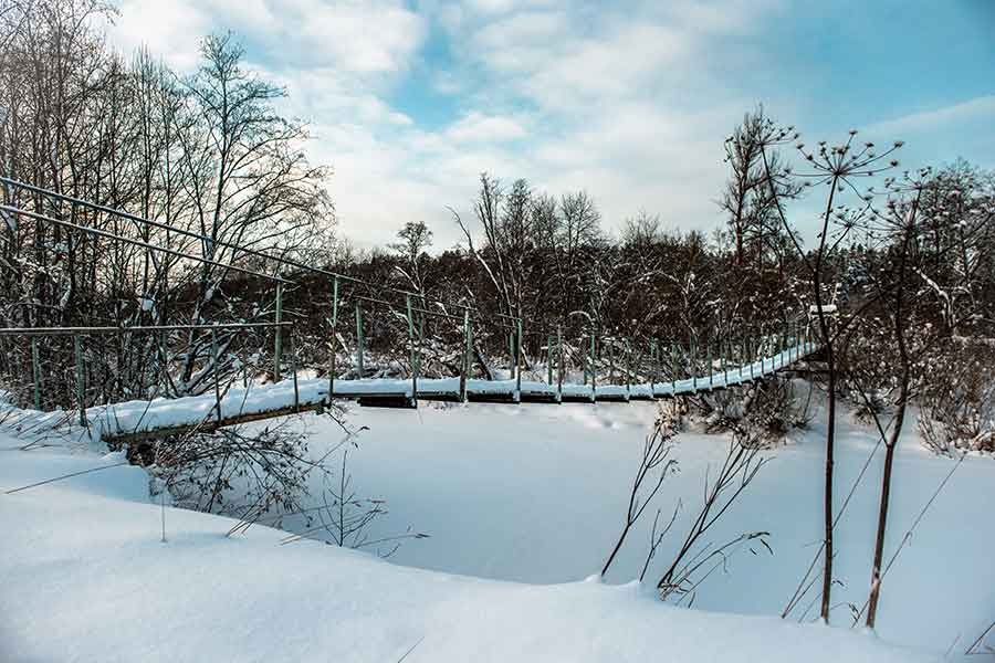 Фото Сосновый Бор