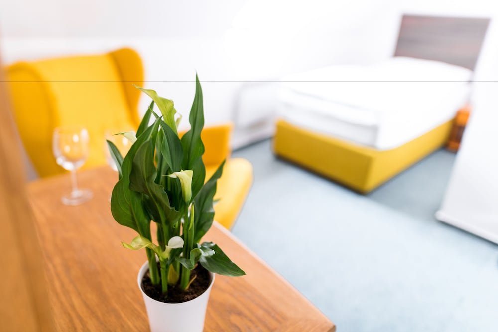 Фото Penzion Austis