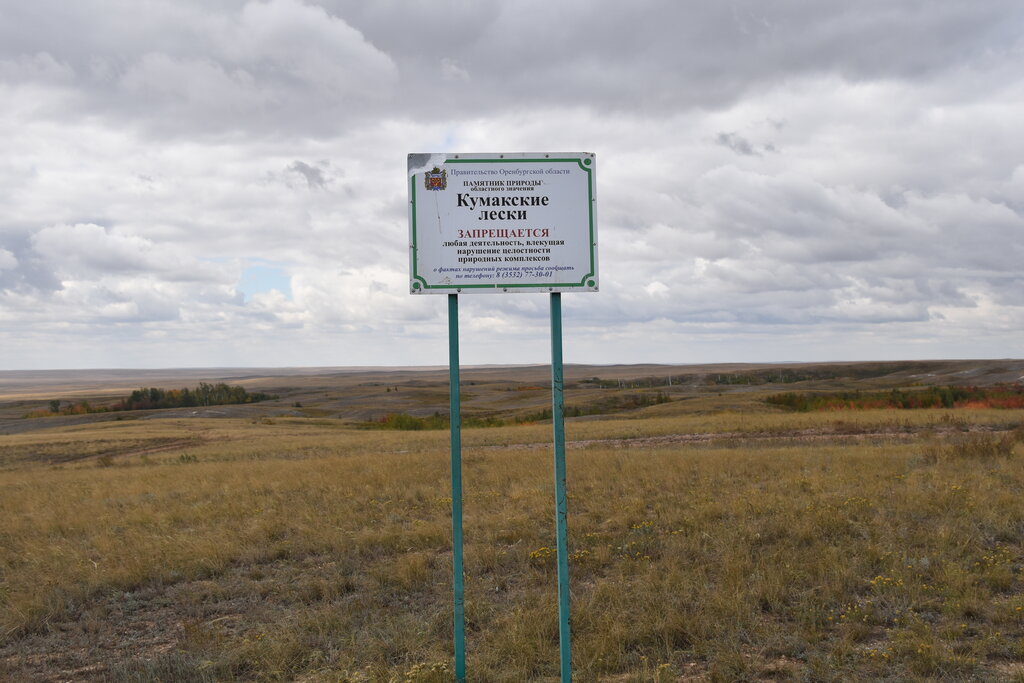Кумакское водохранилище оренбургская область на карте