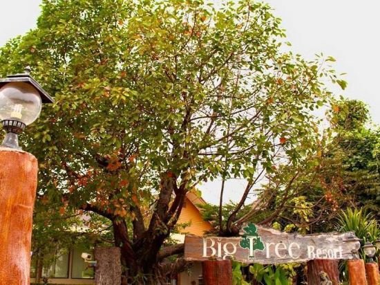 Фото Big Tree Resort