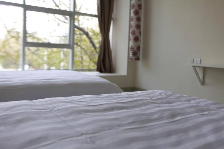 Фото Lhasa Honey Bee Hub