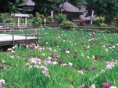 Гостиница Daianji Onsen Banshokaku