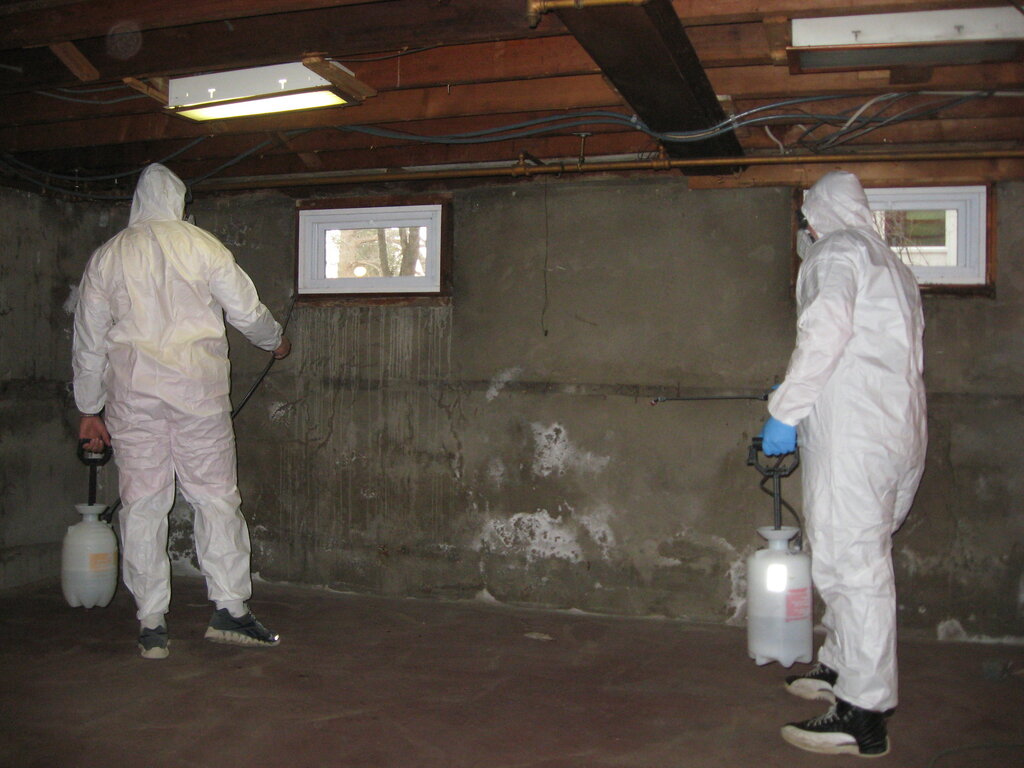 Medical laboratory Arco Environmental Services LLC Mold removal, air testing, asbestos testing services, State of New Jersey, photo