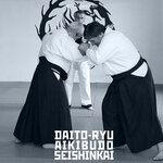 Daito-ryu aiki-jiujitsu (Lenina Avenue, 84), sports club