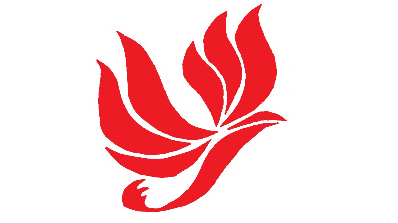 Бизнес-эксперт