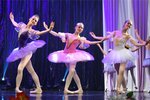 Children's ballet studio Pointe (L'va Tolstogo Street, 22) ، مجموعة فنية