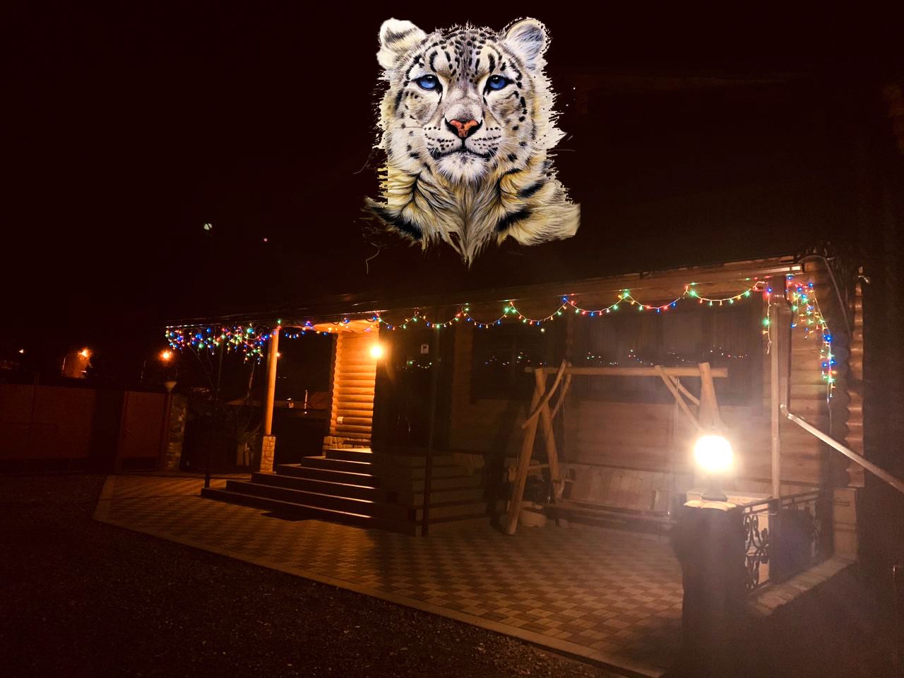 Фото Гостевой дом Ирбис