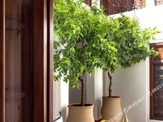 Фото Les Jardins De La Medina