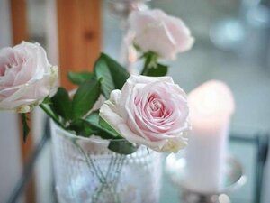 Гостиница Kalk Hotel