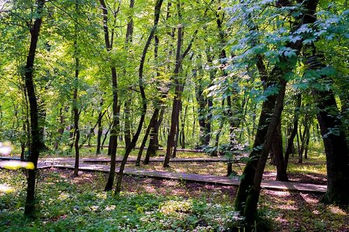 Долина Нарзанов — фото 4