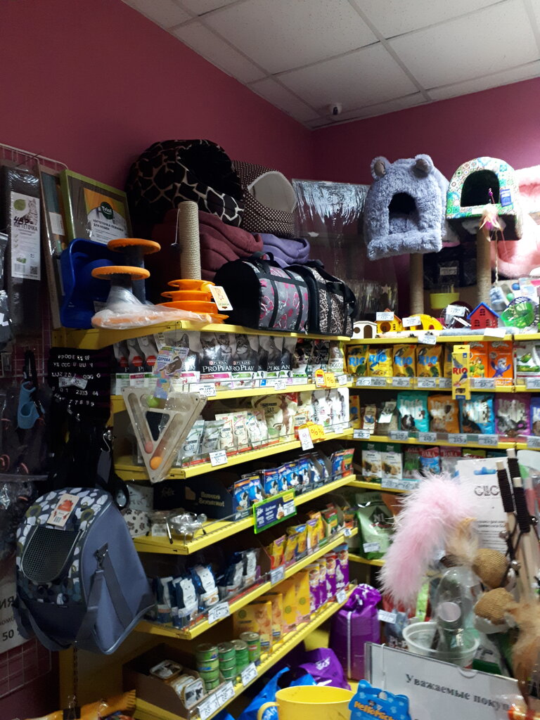 Pet shop ZooLayks, Kaluga, photo