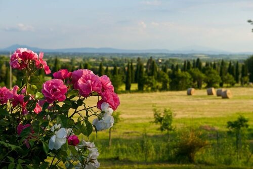 Внешний вид отеля Villa Borgo San Pietro в Кортоне, фото 5