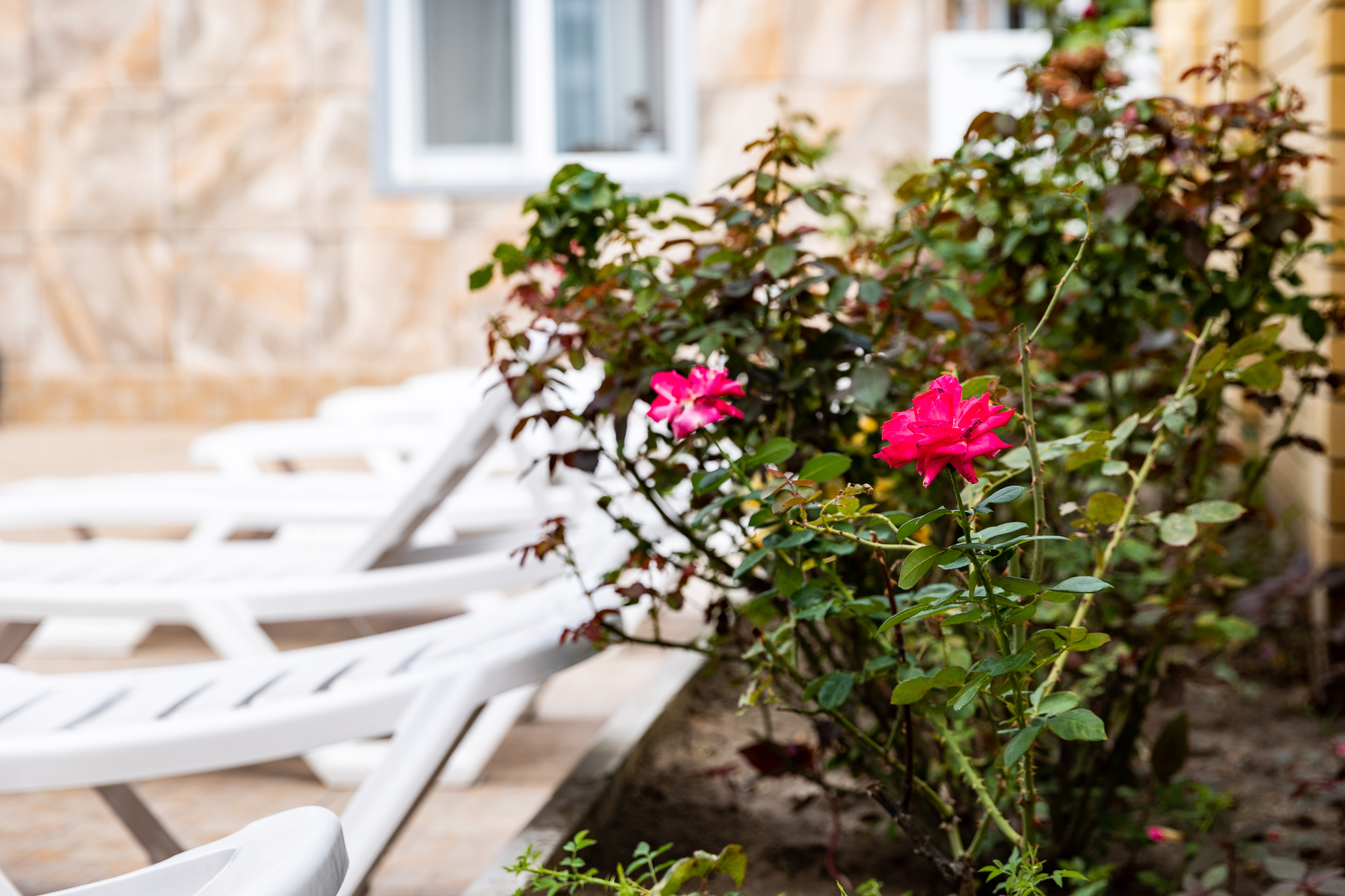 Фото отеля 4