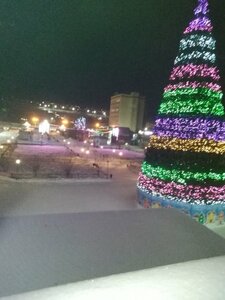 Гостиница Флагман