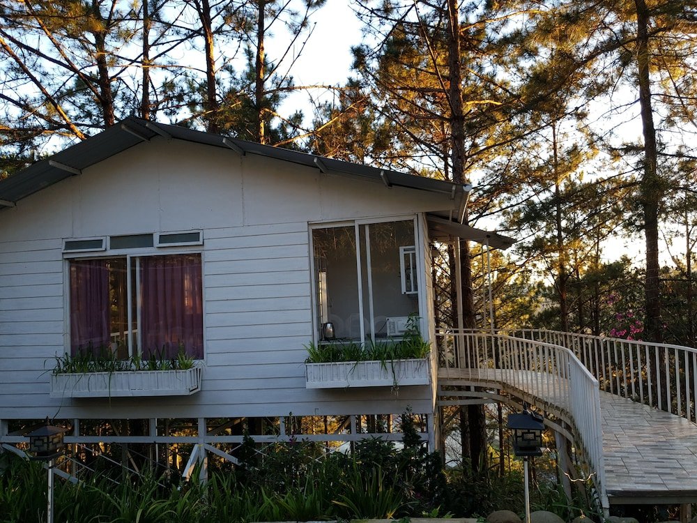 Фото Pine Hill Homes Dalat