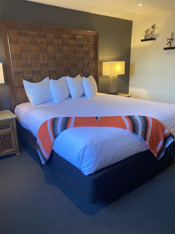 Фото Coyote South