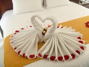 Гостиница Hotel Dorado Gold