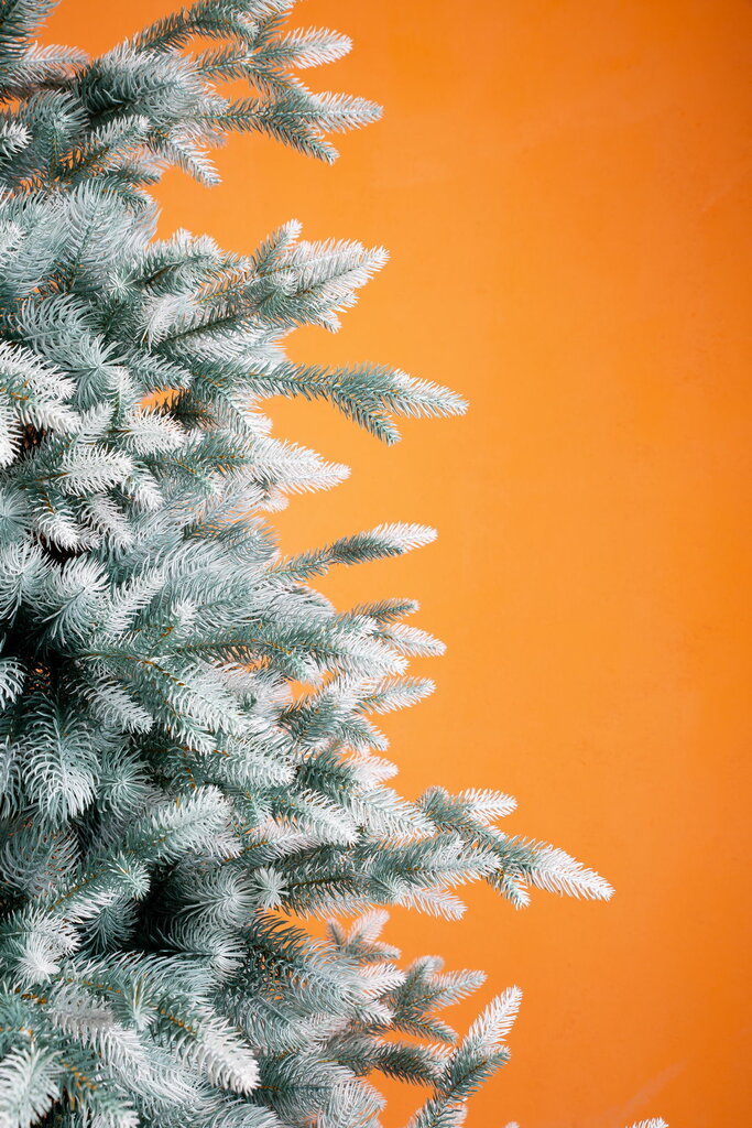زينة وأشجار عيد الميلاد Buy artificial Christmas tree Fir № 1 ، ، صورة