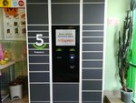 5Post (ulitsa Romashina, 17), parcel automat
