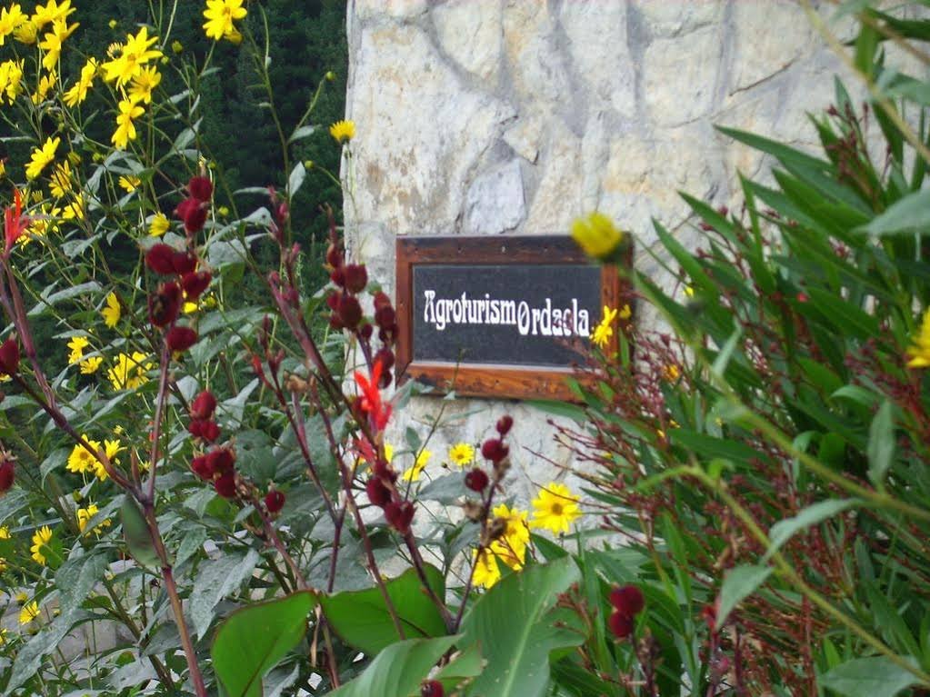 Фото Agroturismo Ordaola