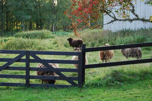Гостиница Nästegården Bed & Breakfast в Линчёпинге