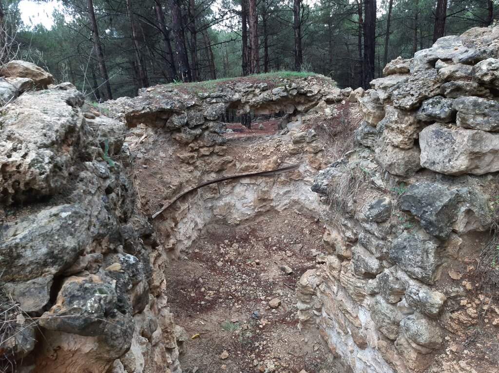 Landmark, attraction Пулеметная долговременная замаскированная огневая точка, Sevastopol, photo