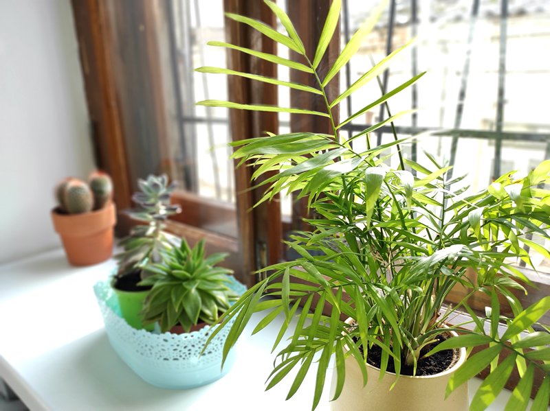 Фото Сити Хаус