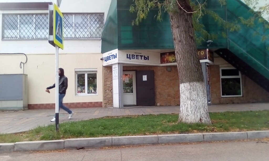 Зеленстрой советская ул 134 анапа фото Panorama: Zelenstroy, urban landscaping, Russia, Anapa, Sovetskaya ulitsa, 134 -