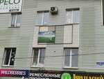 Demetra (River Volga Embankment, 38А) ، أعمال المسح