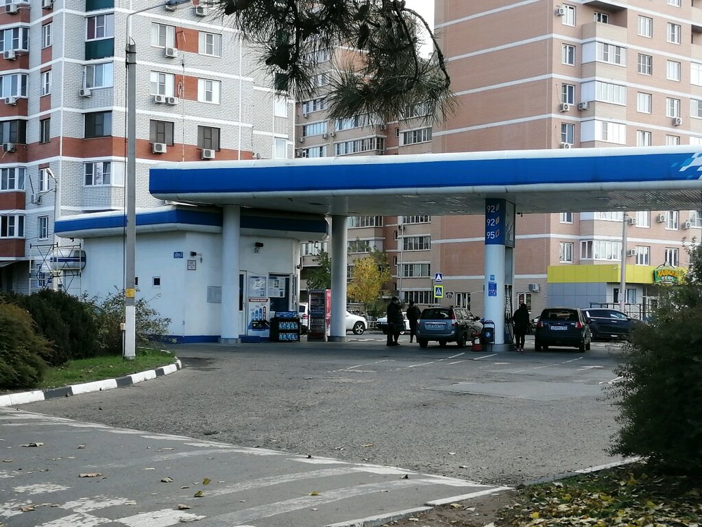 Вирбак авто краснодар мачуги