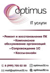Optimus (ulitsa Ulyanova, 103А), it company