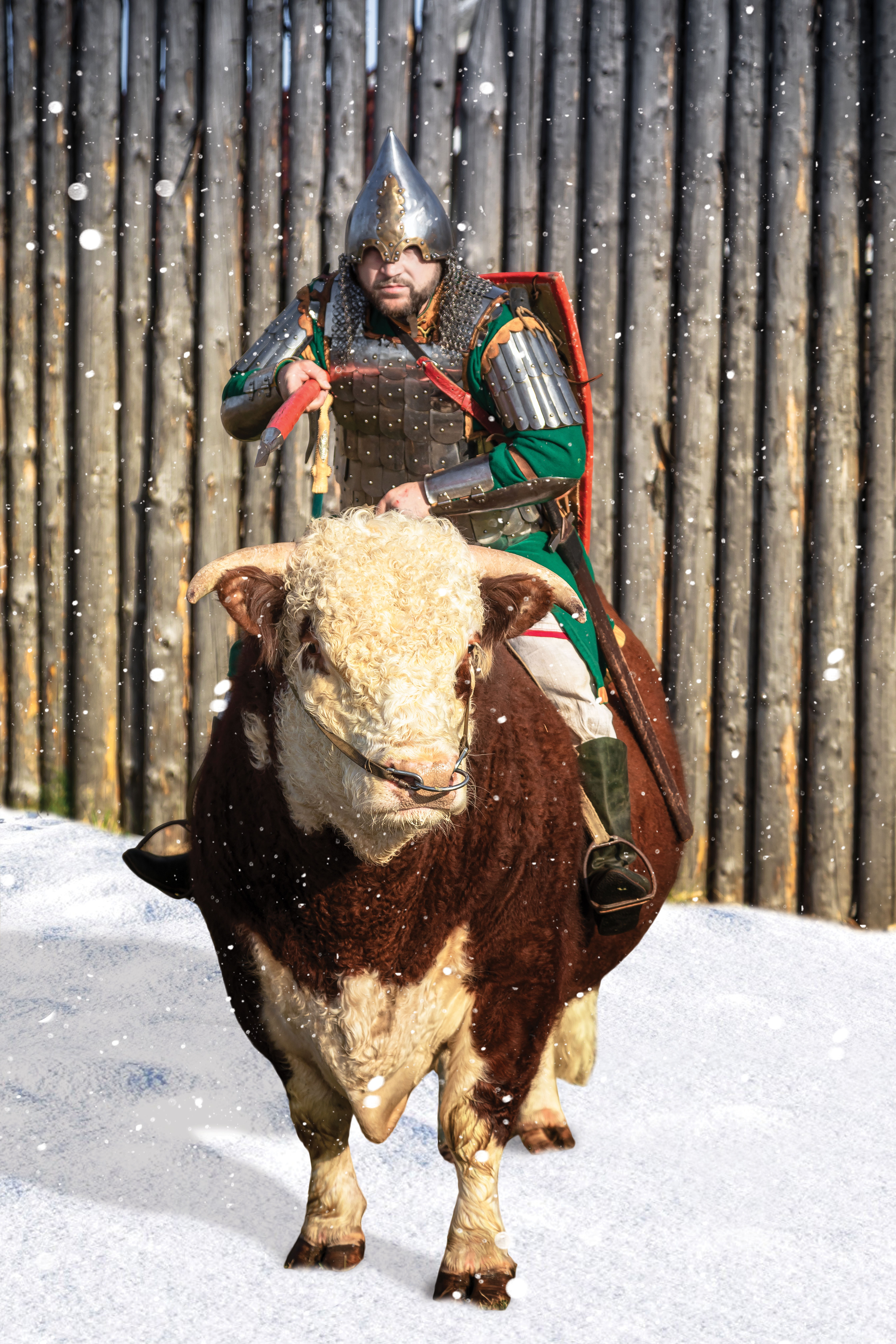 Фото Варяжская дружина