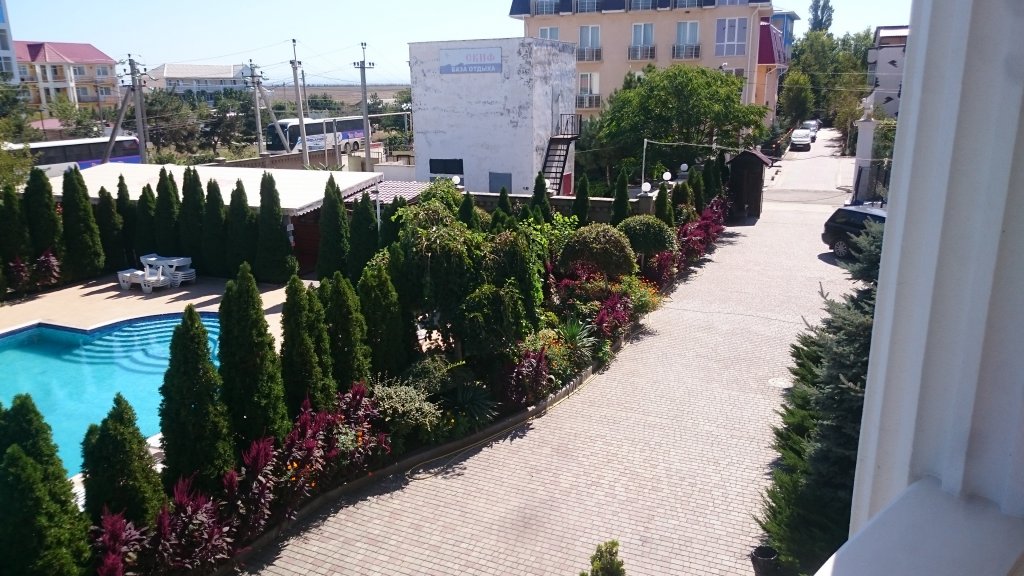 Фото Апельсин