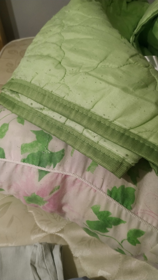 Фото Зеленый дом